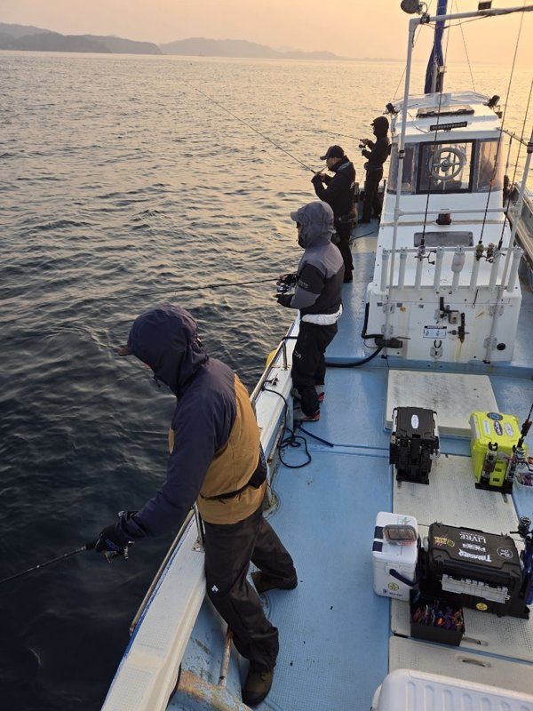 ティップラン便の釣果写真